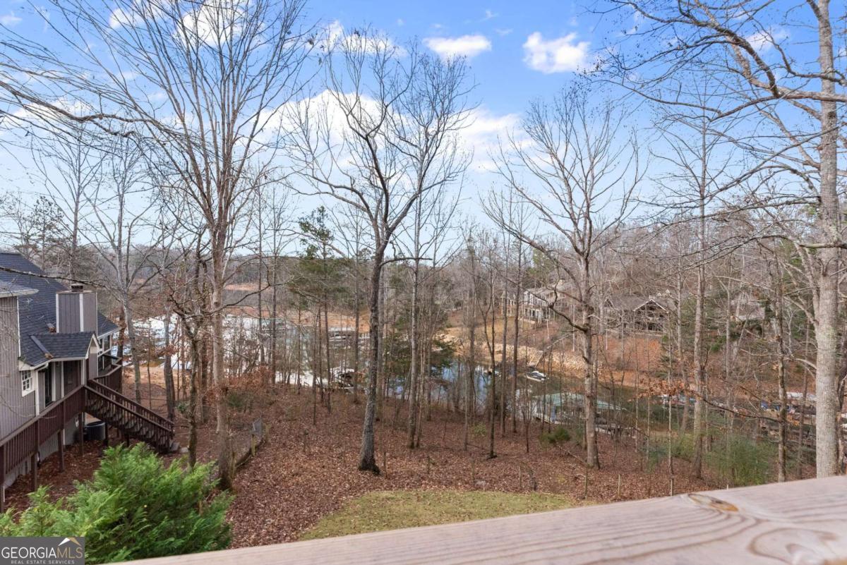 161 Winterhawk Cove Dawsonville GA 30534