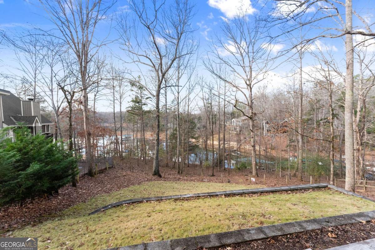161 Winterhawk Cove Dawsonville GA 30534