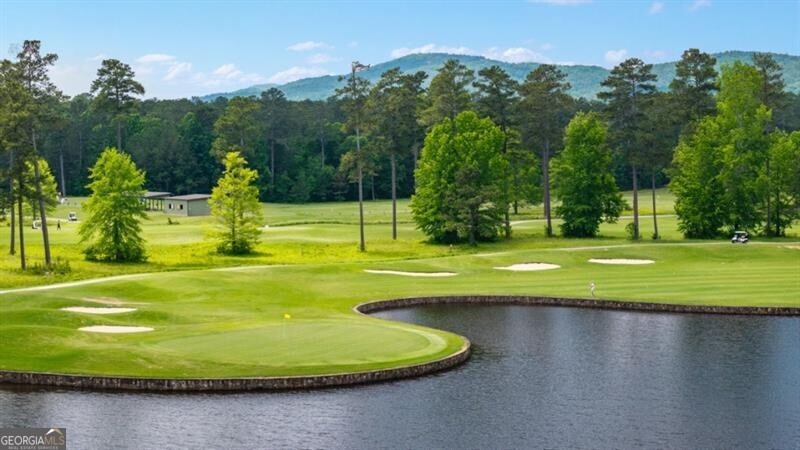 8 Coggins Place Rome GA 30165