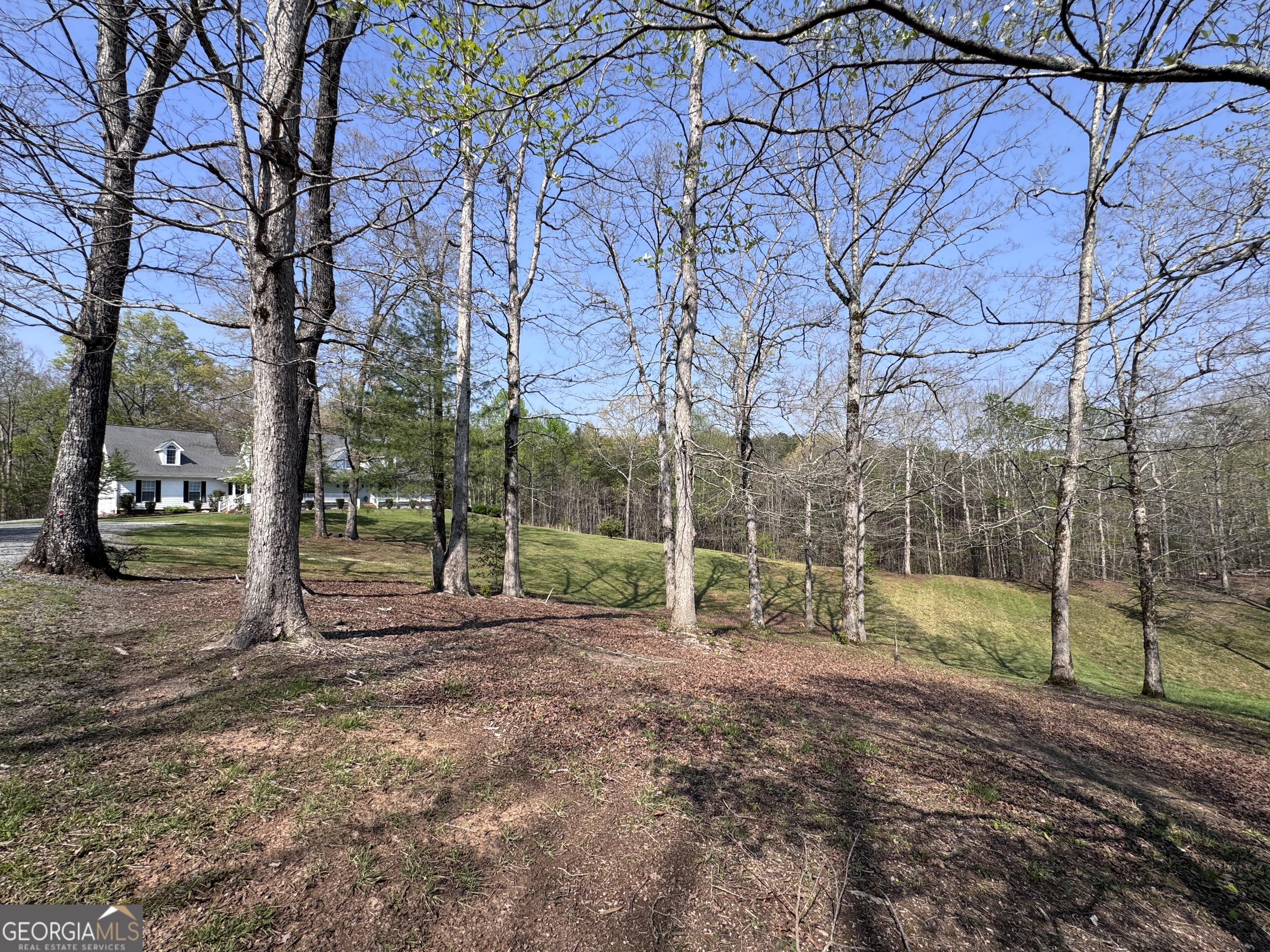 552 Dalrymple Circle Ellijay GA 30540