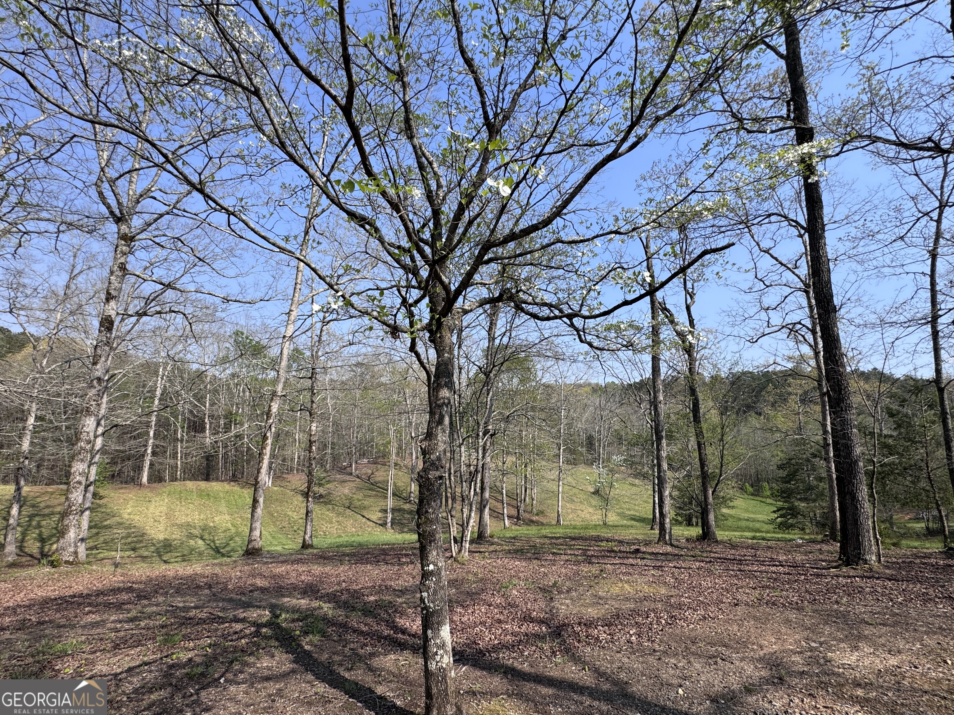 552 Dalrymple Circle Ellijay GA 30540