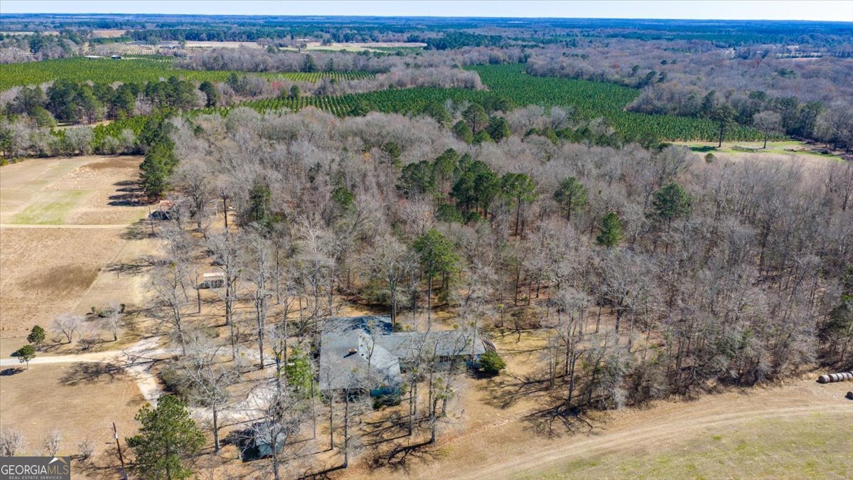 146 Mooring Road Hawkinsville GA 31036