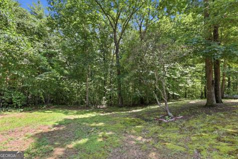 118 Brenda Lane Clayton GA 30525