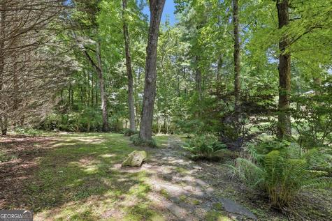 118 Brenda Lane Clayton GA 30525