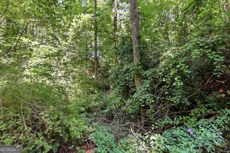 118 Brenda Lane Clayton GA 30525