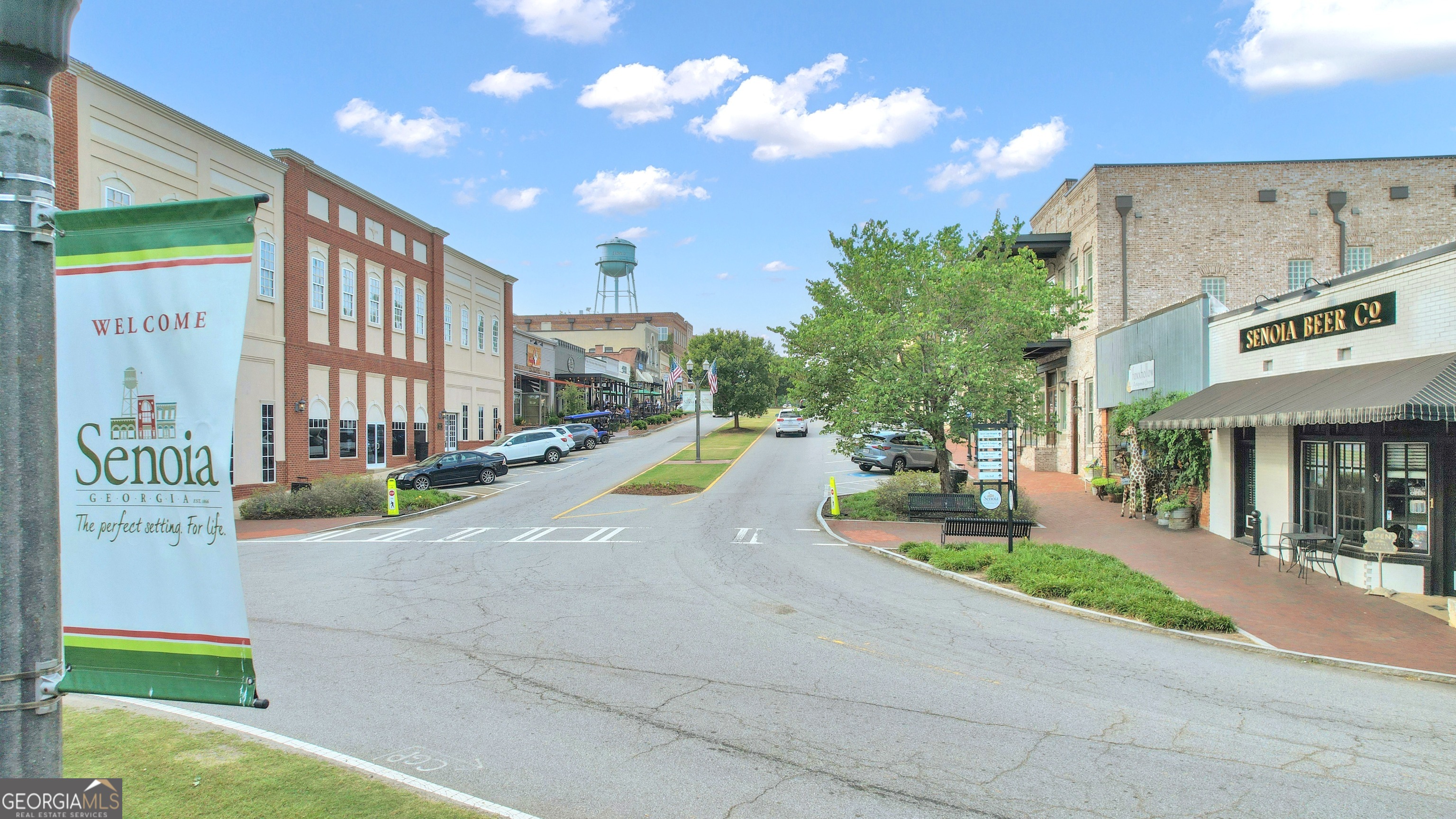 282 Township Drive Senoia GA 30276