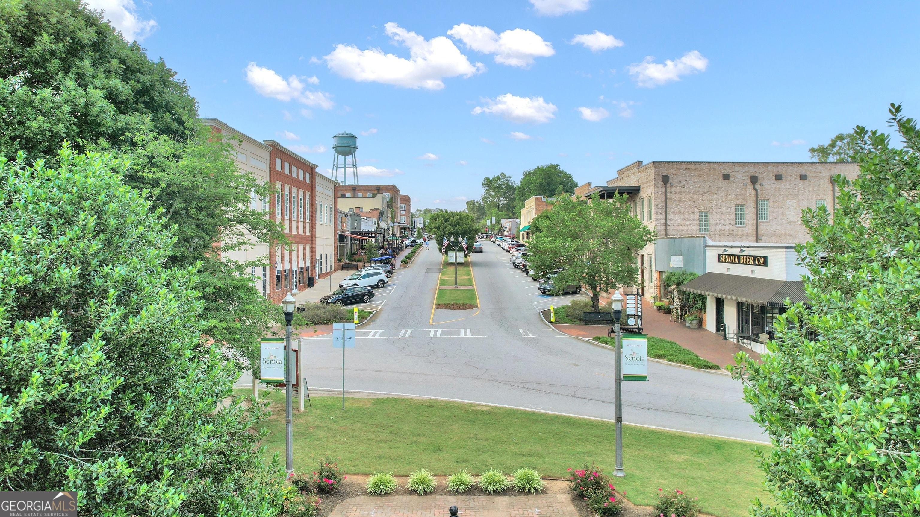 282 Township Drive Senoia GA 30276
