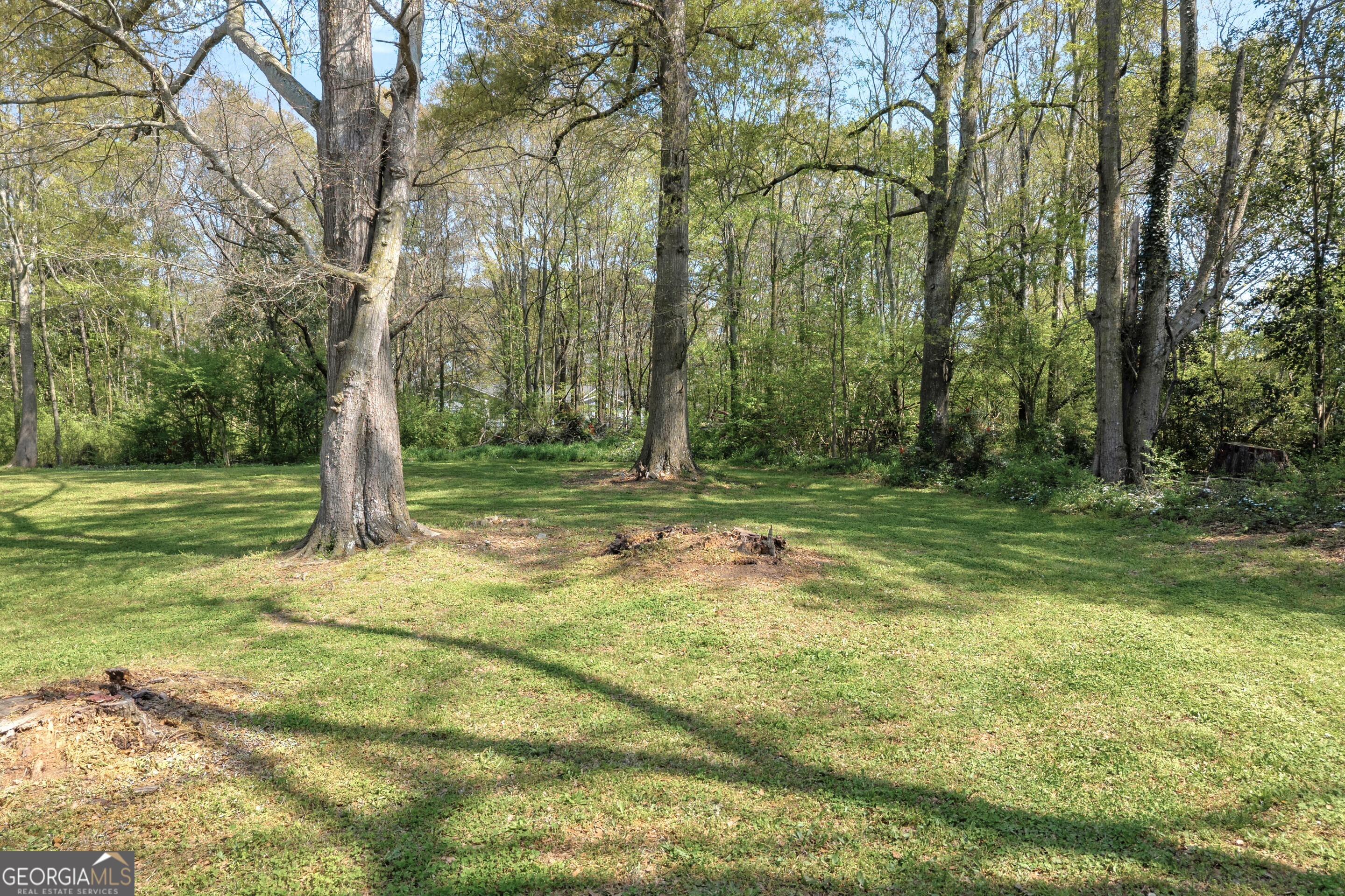 100 S Broad Street Bowman GA 30624