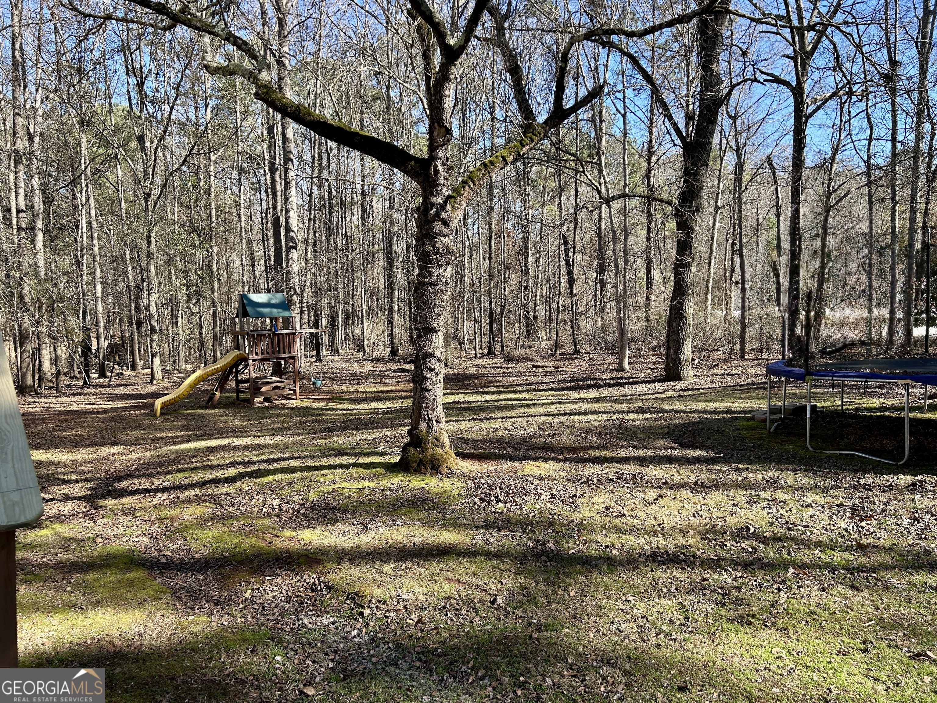 25 Heron Point Newnan GA 30263