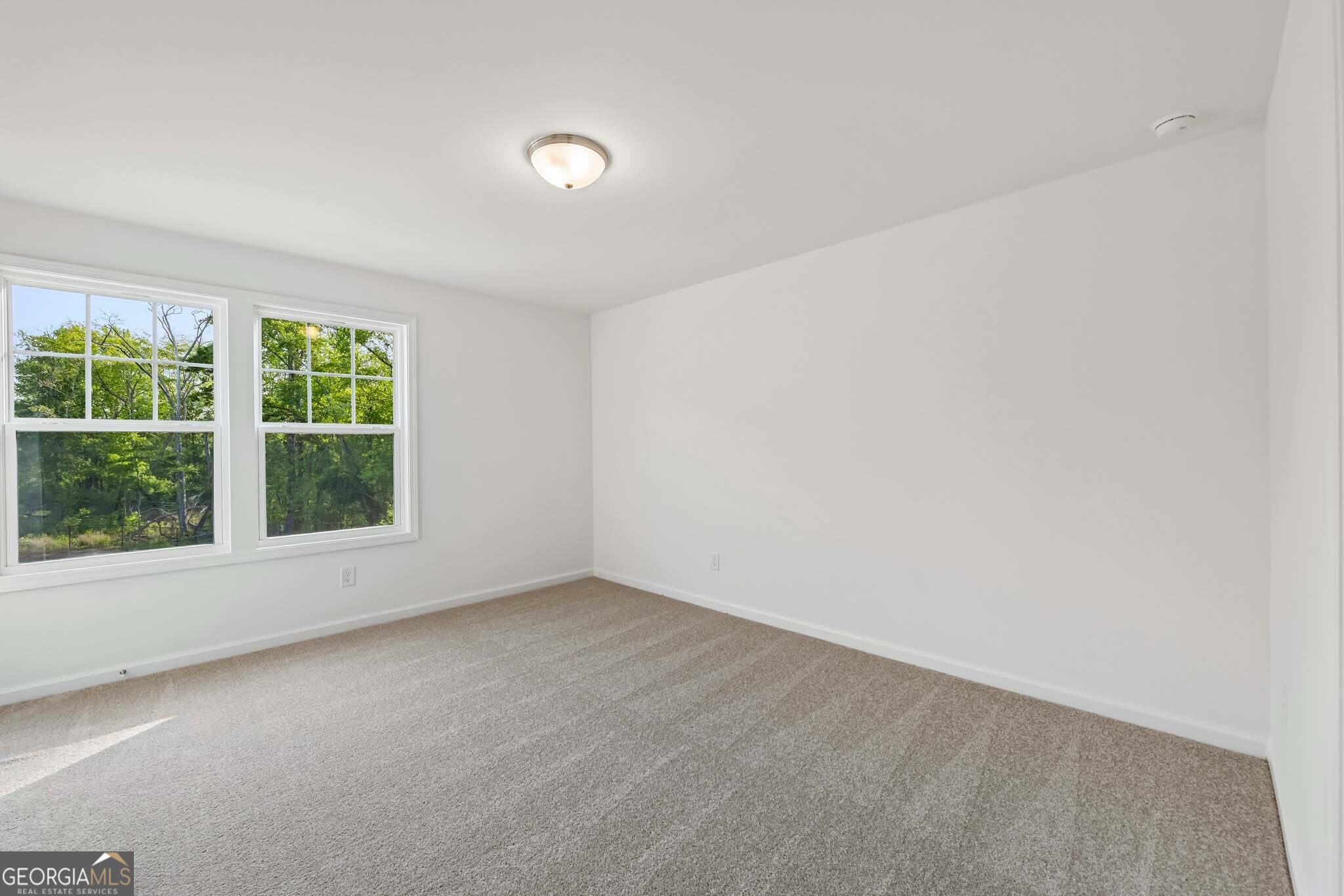 204 Silverleaf Trail Bethlehem GA 30620