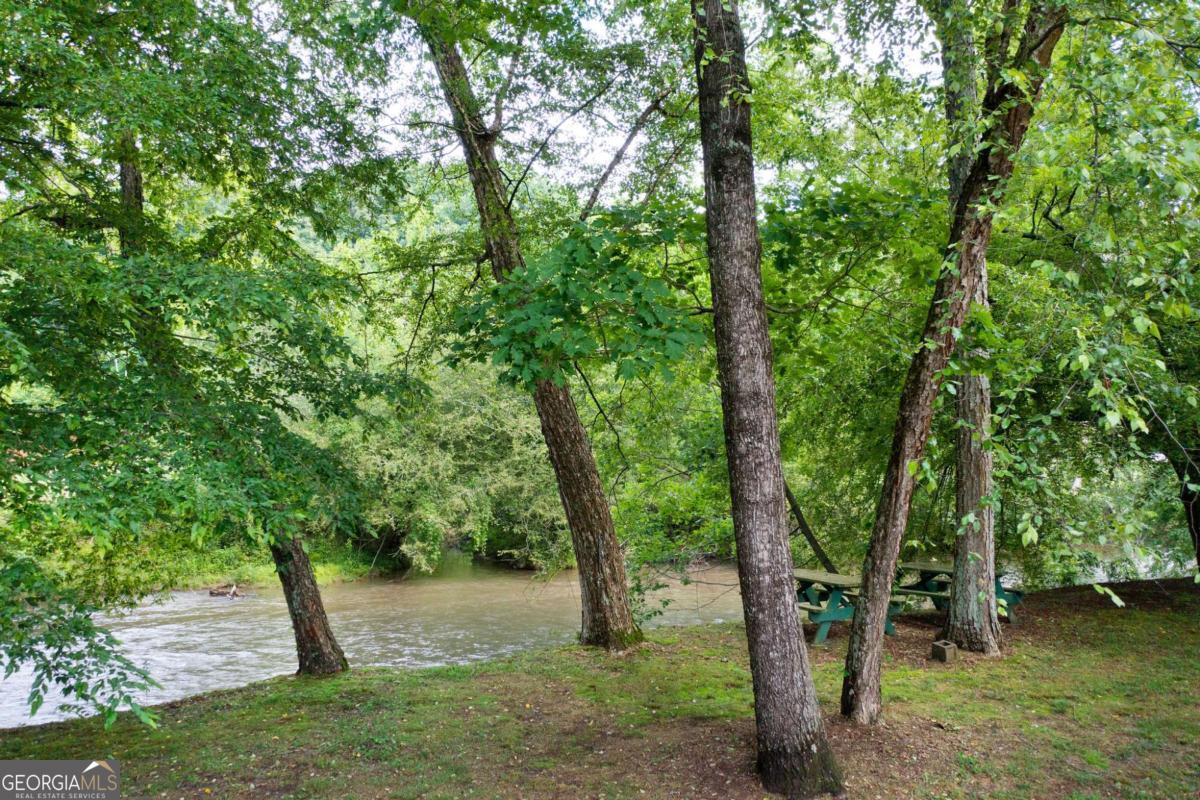 442 Cartecay River Run Ellijay GA 30536