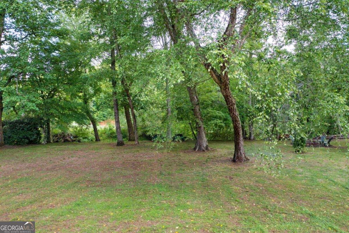 442 Cartecay River Run Ellijay GA 30536