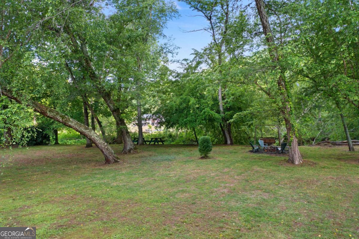 442 Cartecay River Run Ellijay GA 30536