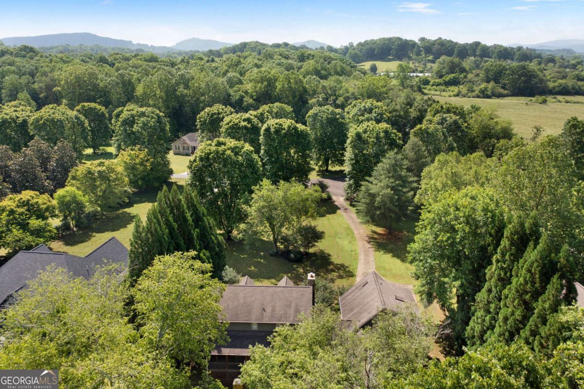 442 Cartecay River Run Ellijay GA 30536