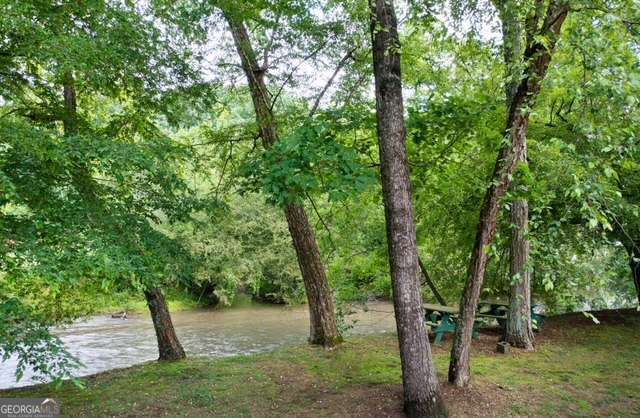 442 Cartecay River Run Ellijay GA 30536