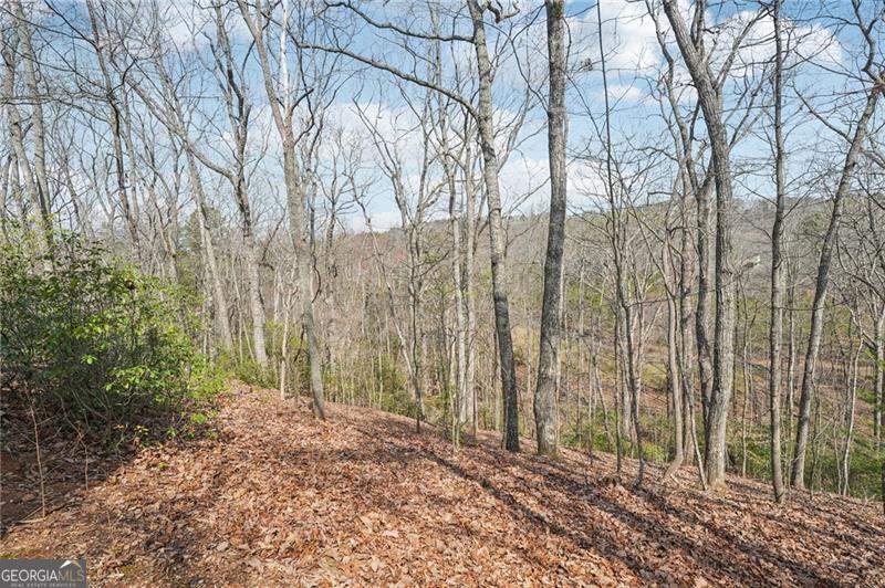 29 Red Trillium Ridge Jasper GA 30143