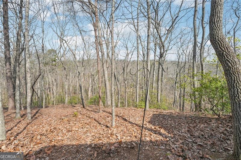 29 Red Trillium Ridge Jasper GA 30143