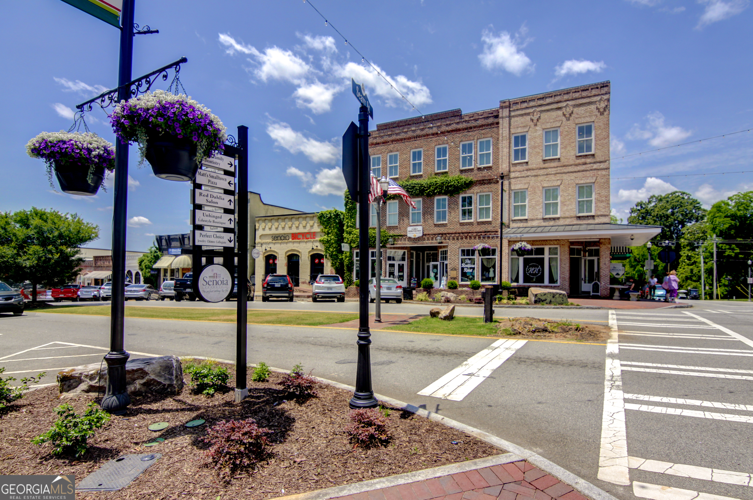 215 Redhaven Drive Senoia GA 30276