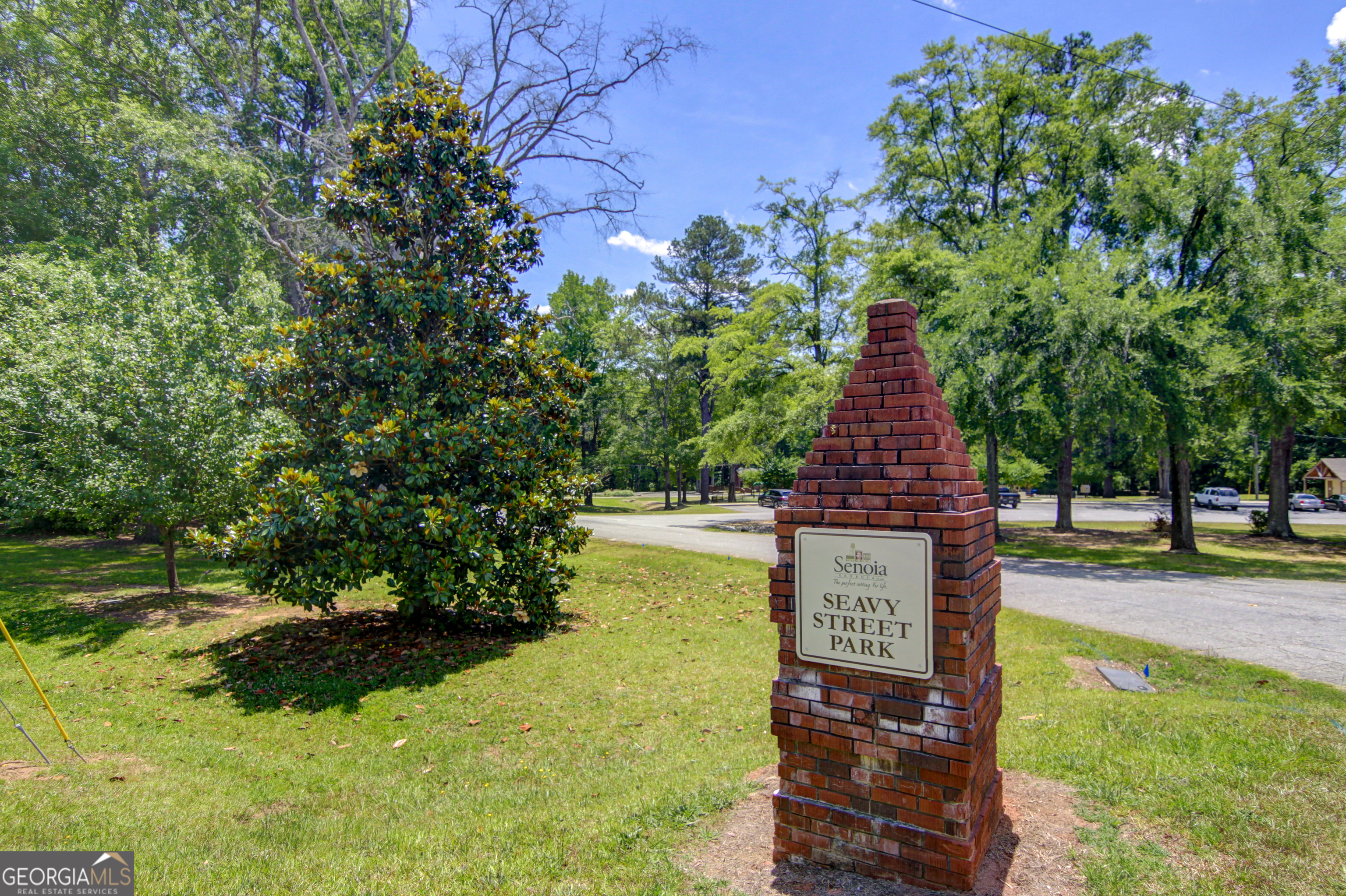 215 Redhaven Drive Senoia GA 30276