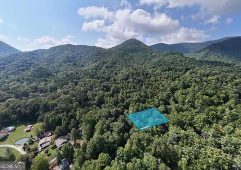 4354 Wildcat Lane Hiawassee GA 30546