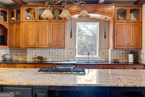 928 Black Bear Trail Jasper GA 30143