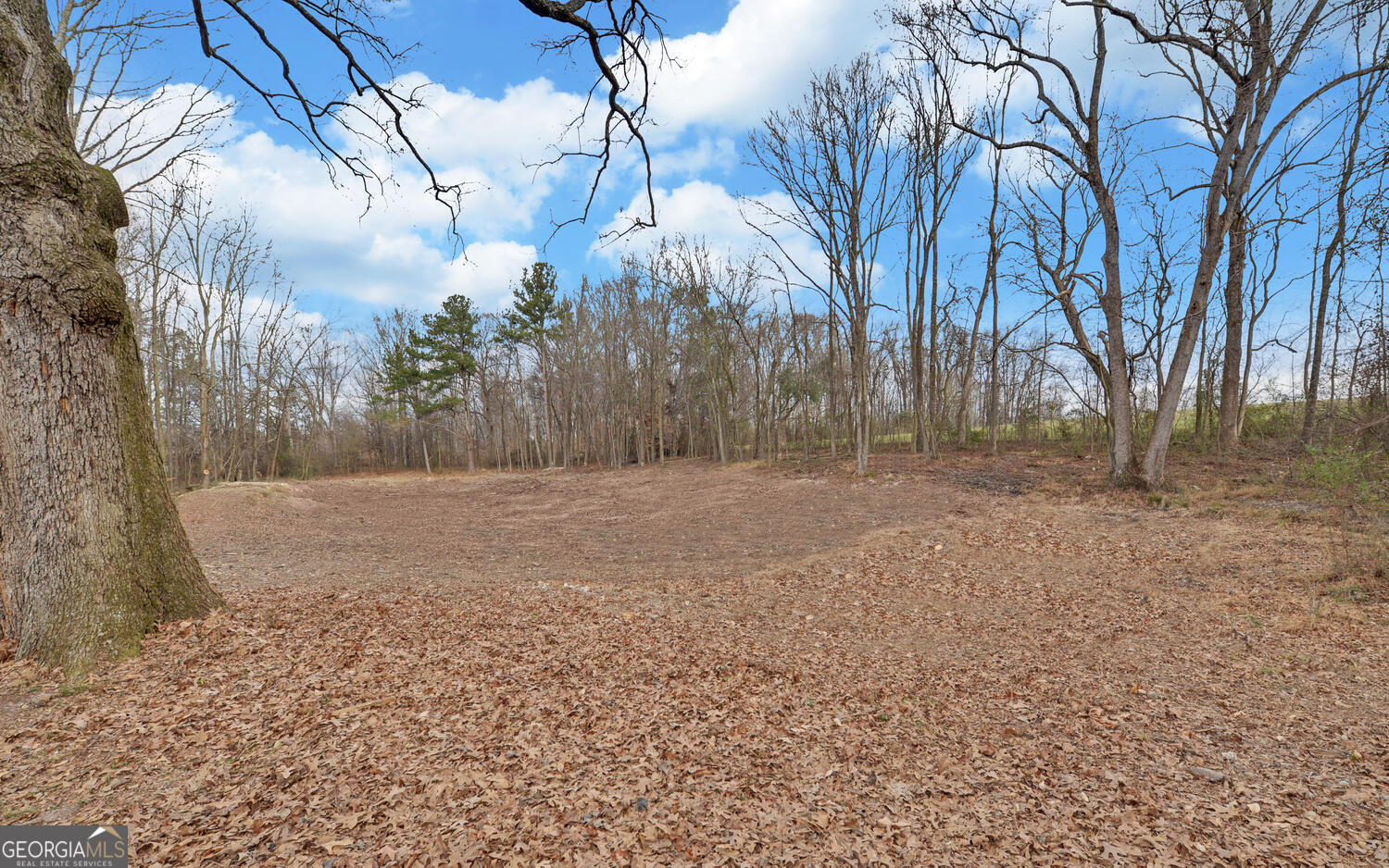 3798 Bethany Bowersville Road Canon GA 30520