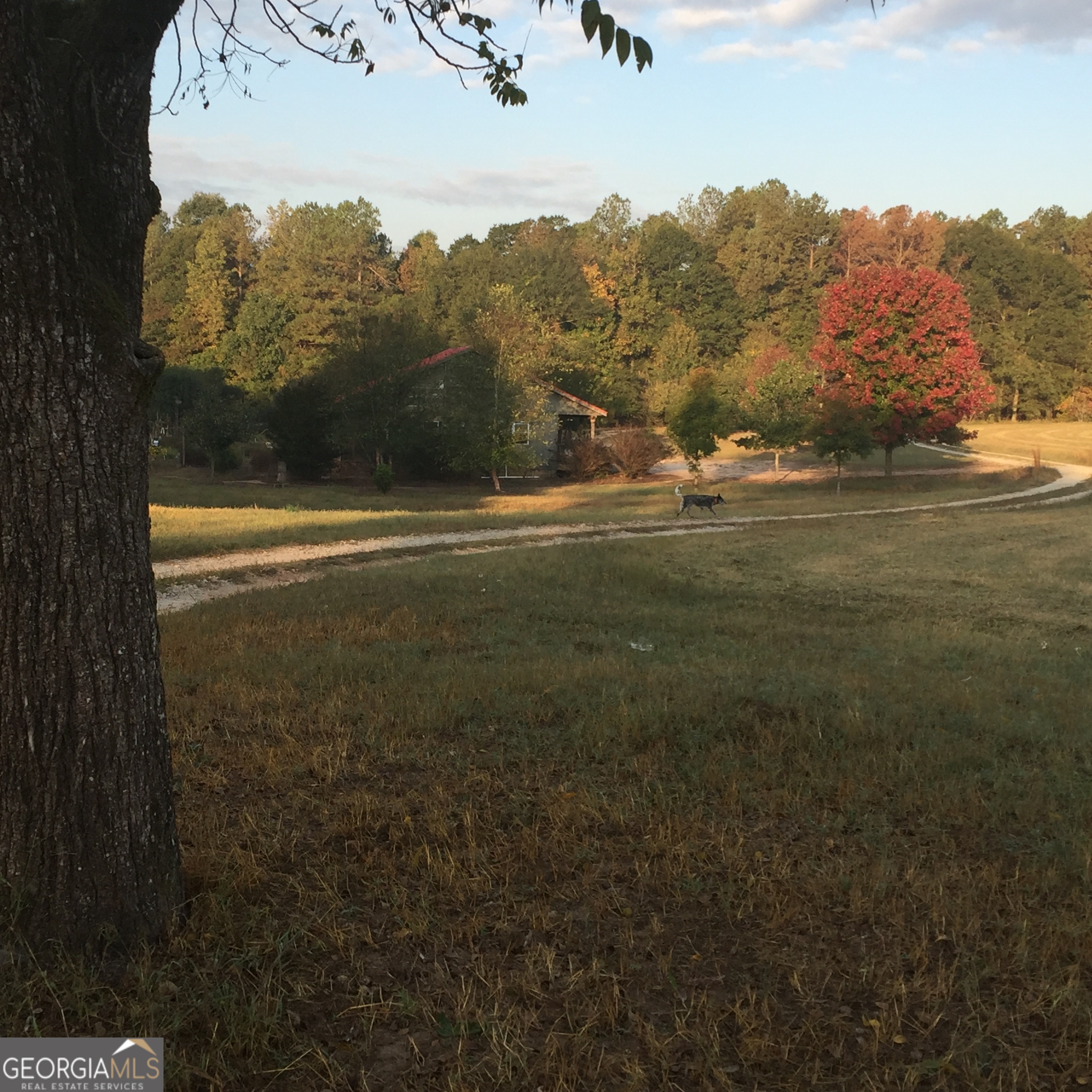 429 Frank Kelley Road Canon GA 30520