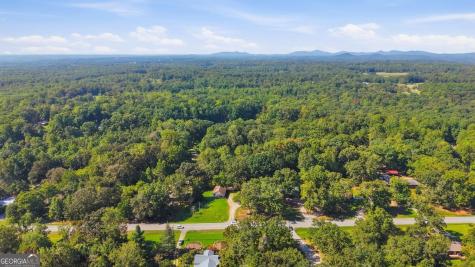 1778 State Highway 17 Clarkesville GA 30523