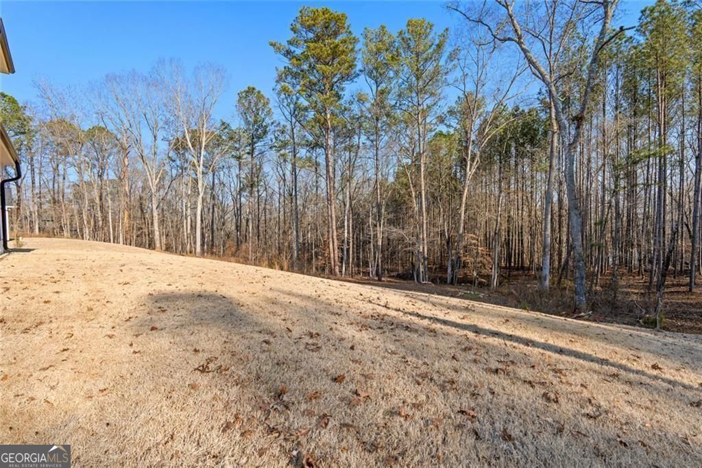147 Wolf Creek Cove Lagrange GA 30240