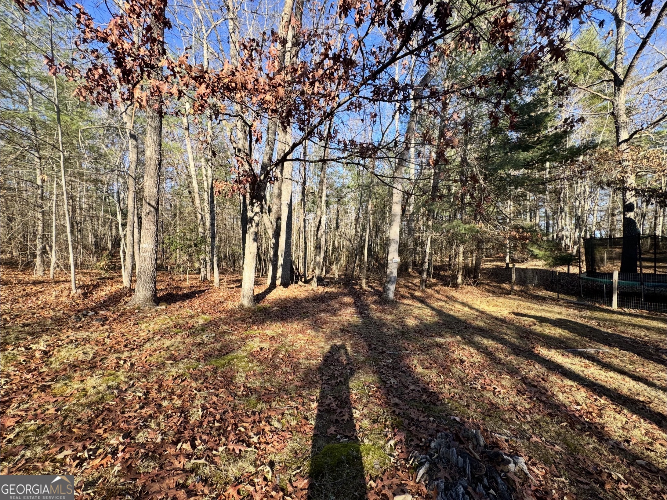 338 Honaker Road Blairsville GA 30512