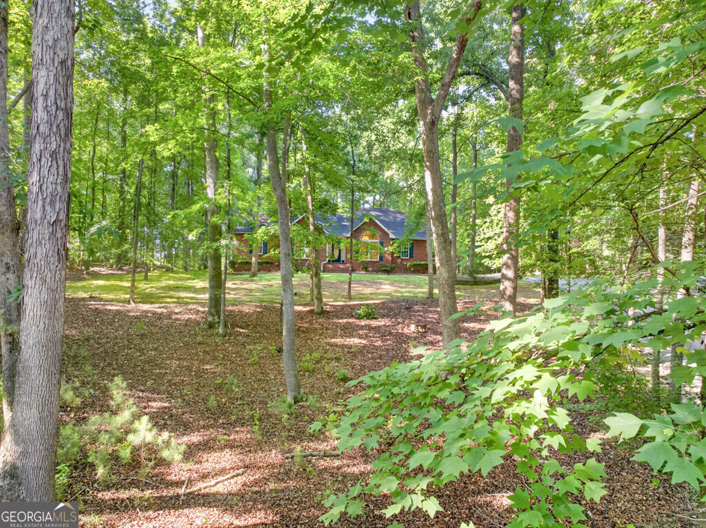 20 Tabor Forest Drive Oxford GA 30054