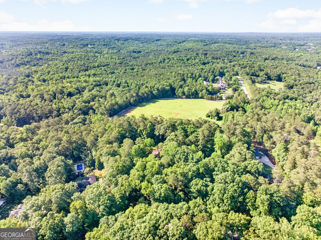 20 Tabor Forest Drive Oxford GA 30054