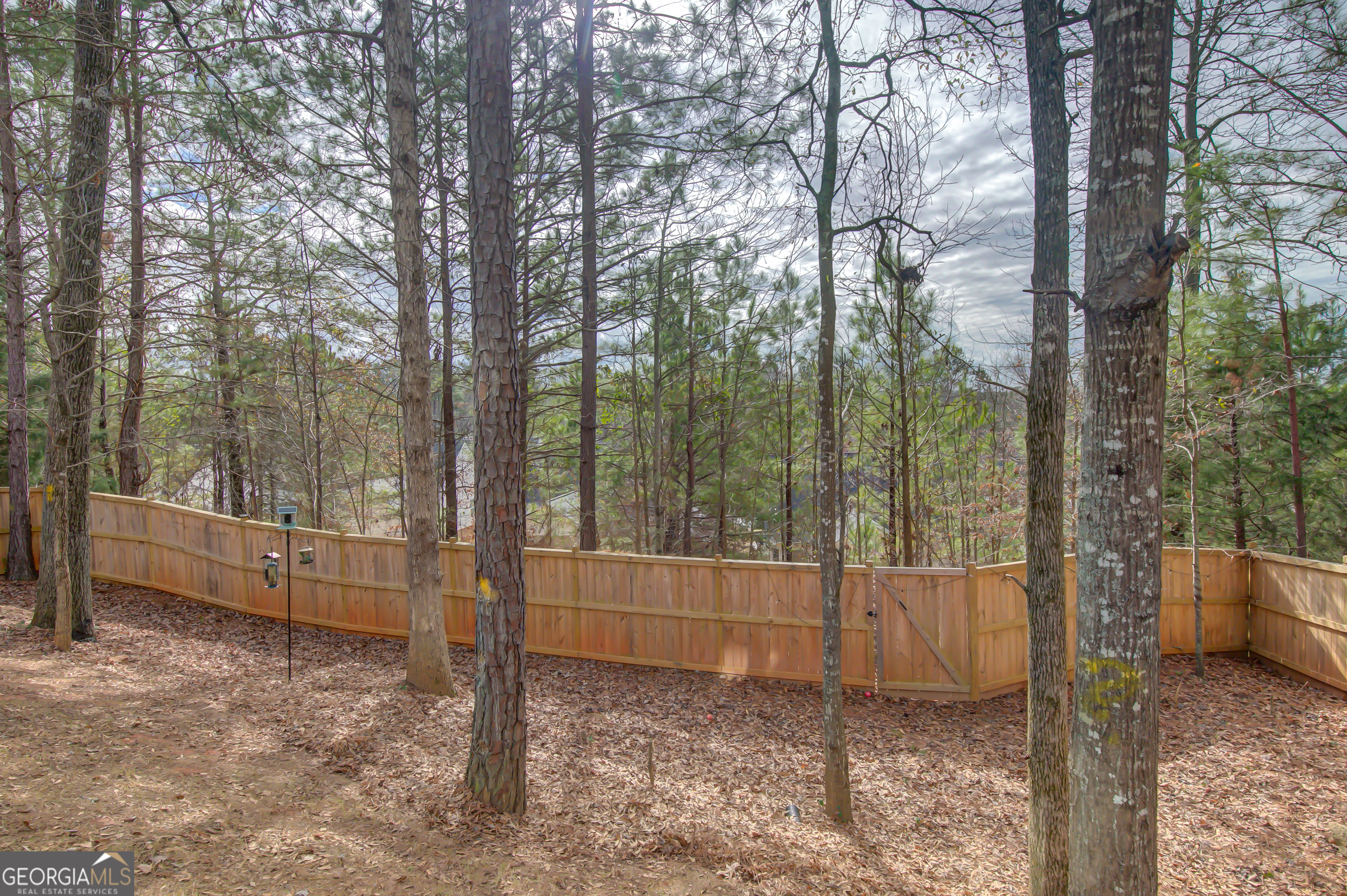 39 Boardwalk Sharpsburg GA 30277