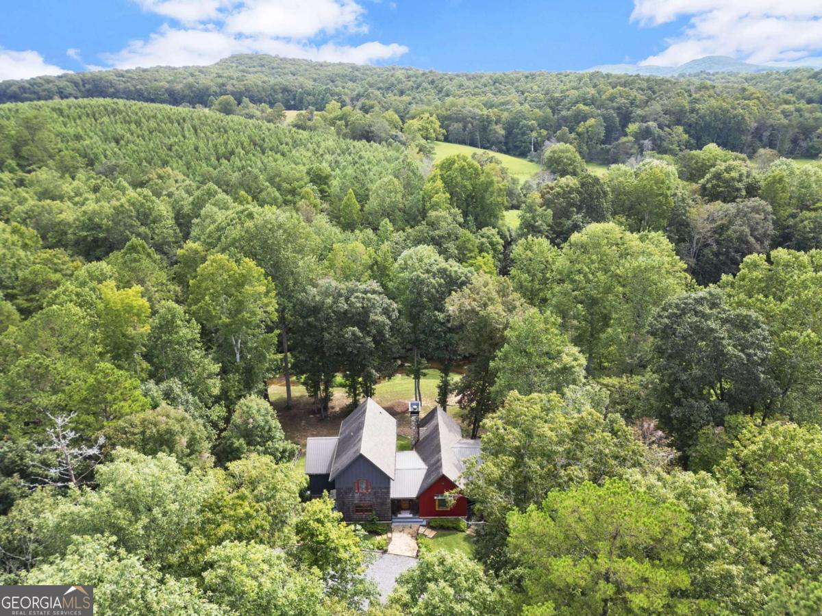 530 Burleson Road Ellijay GA 30536