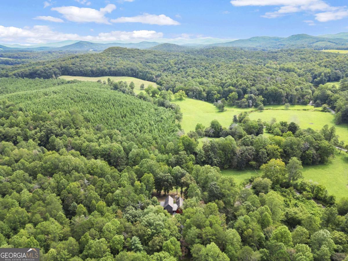 530 Burleson Road Ellijay GA 30536
