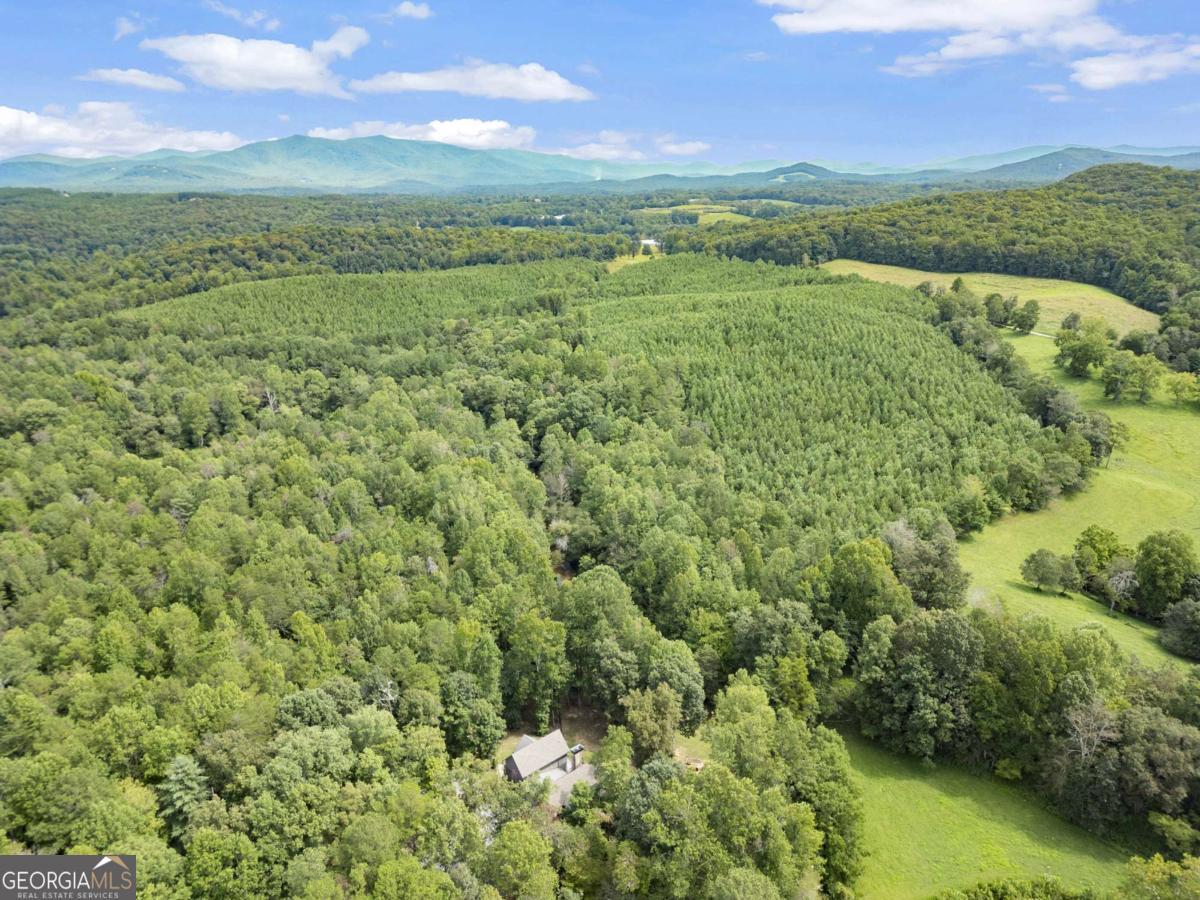 530 Burleson Road Ellijay GA 30536