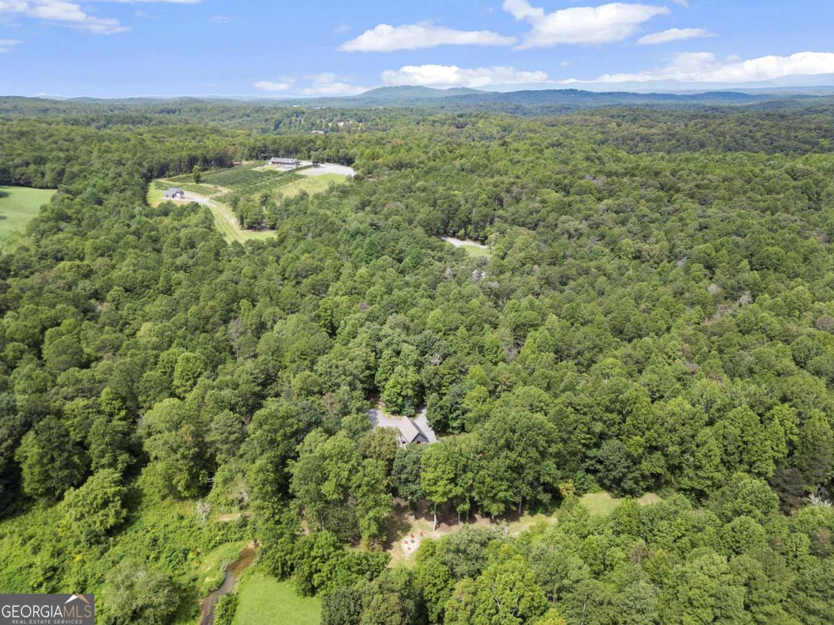 530 Burleson Road Ellijay GA 30536