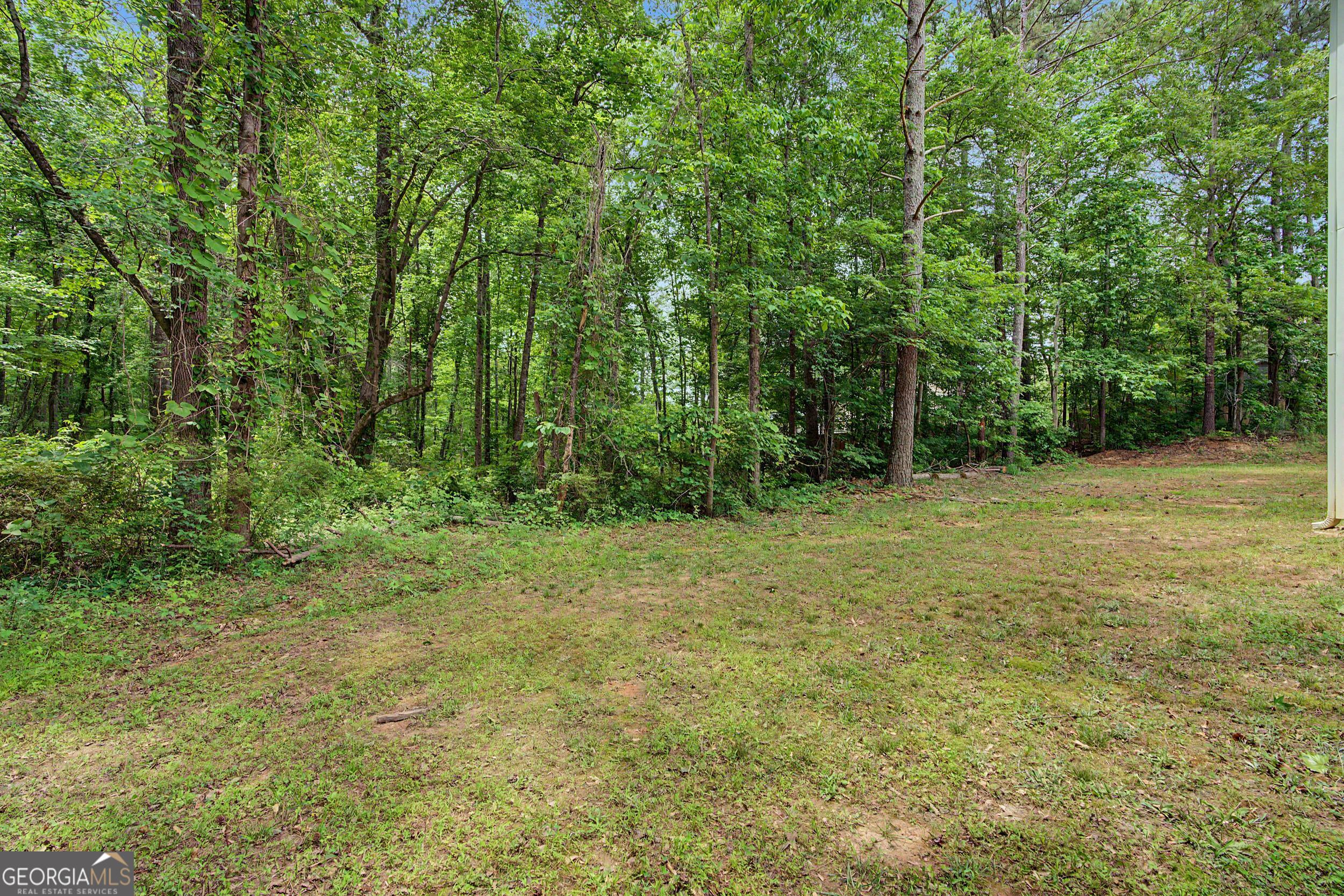 504 Iris Way Villa Rica GA 30180
