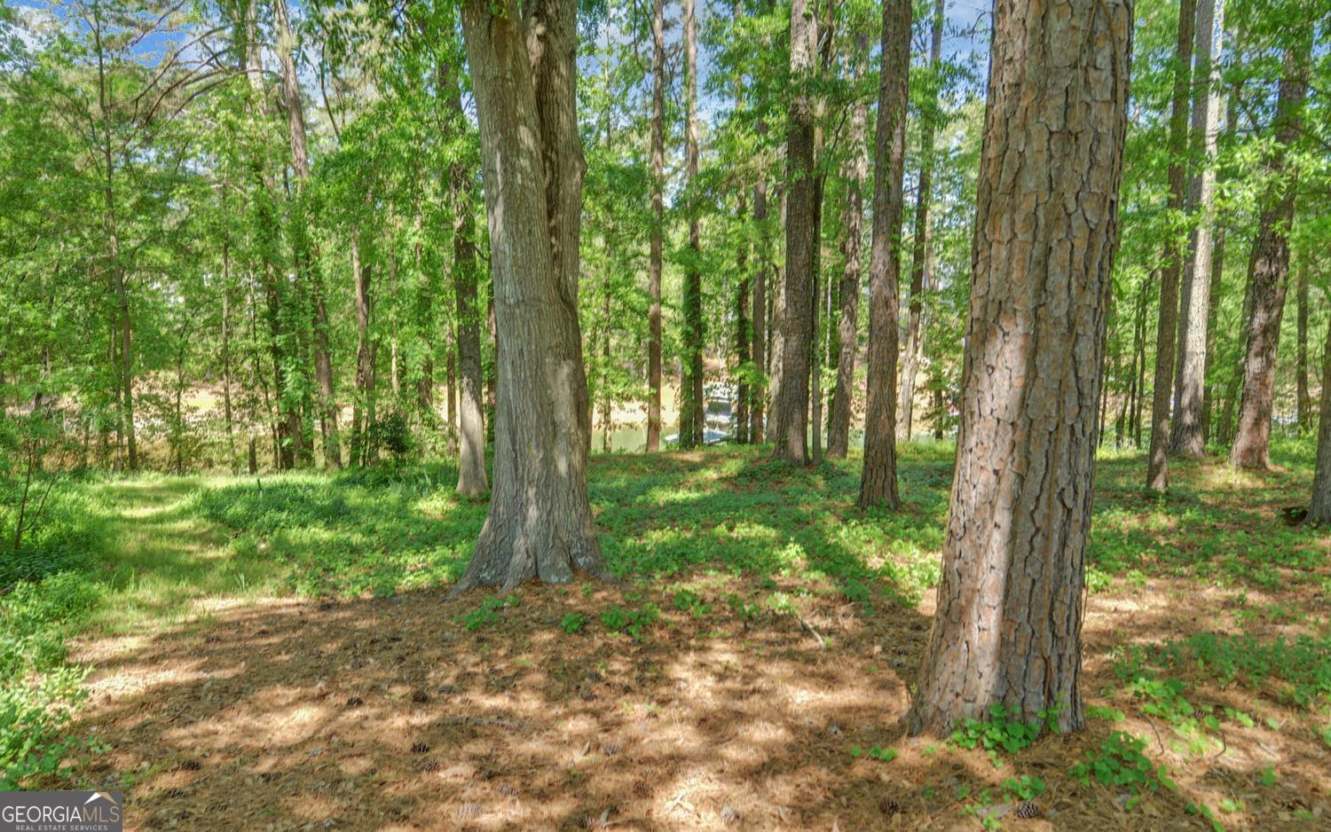 227 Capri Drive Hartwell GA 30643