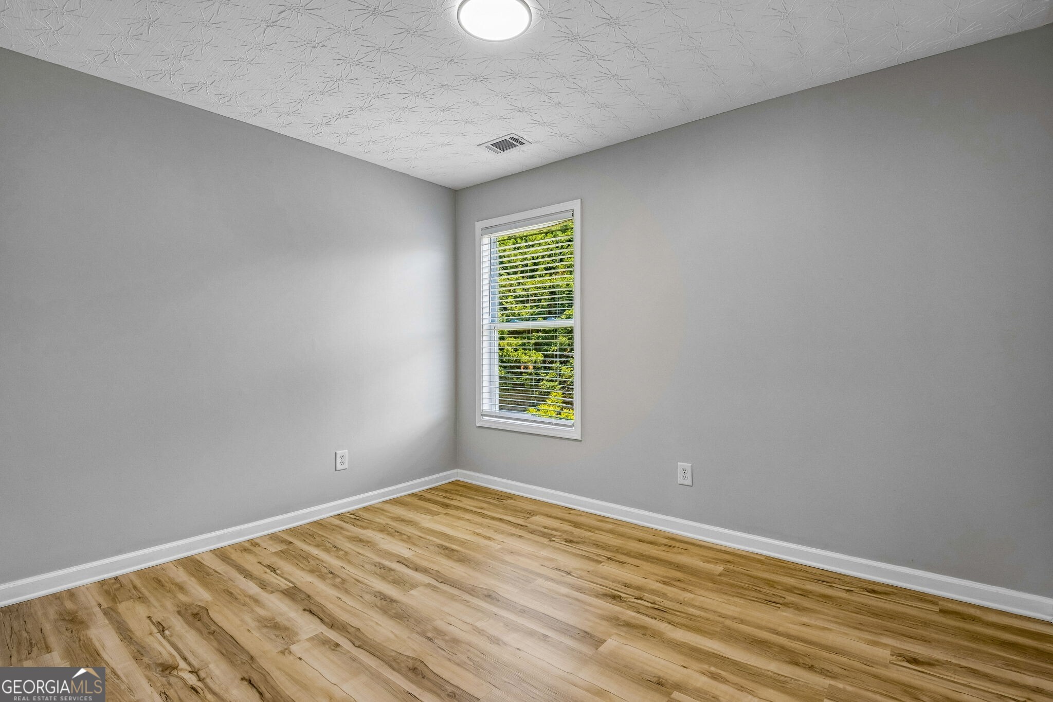 313 Woodland Pass Canton GA 30114