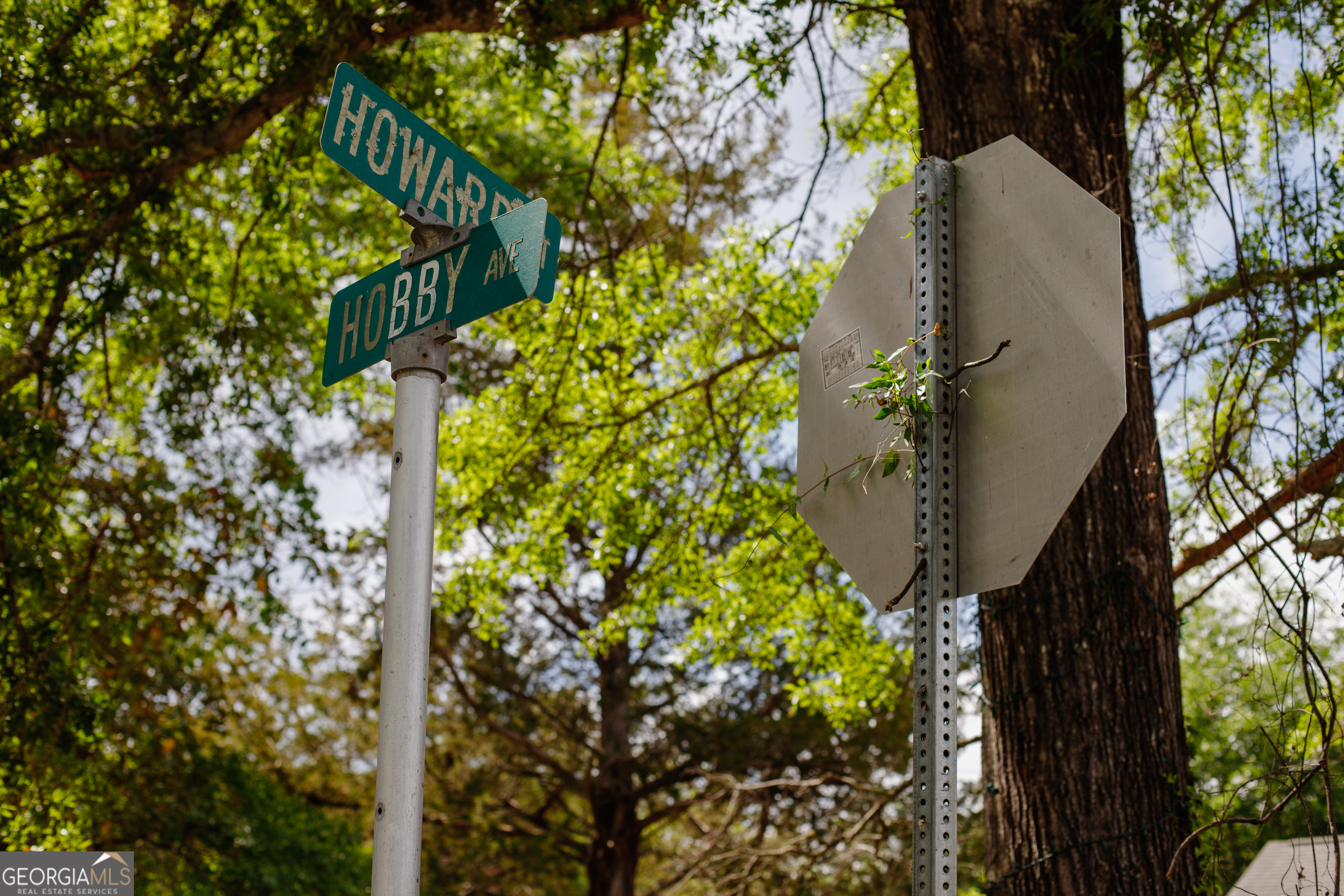 202 Hobby Avenue Sylvania GA 30467