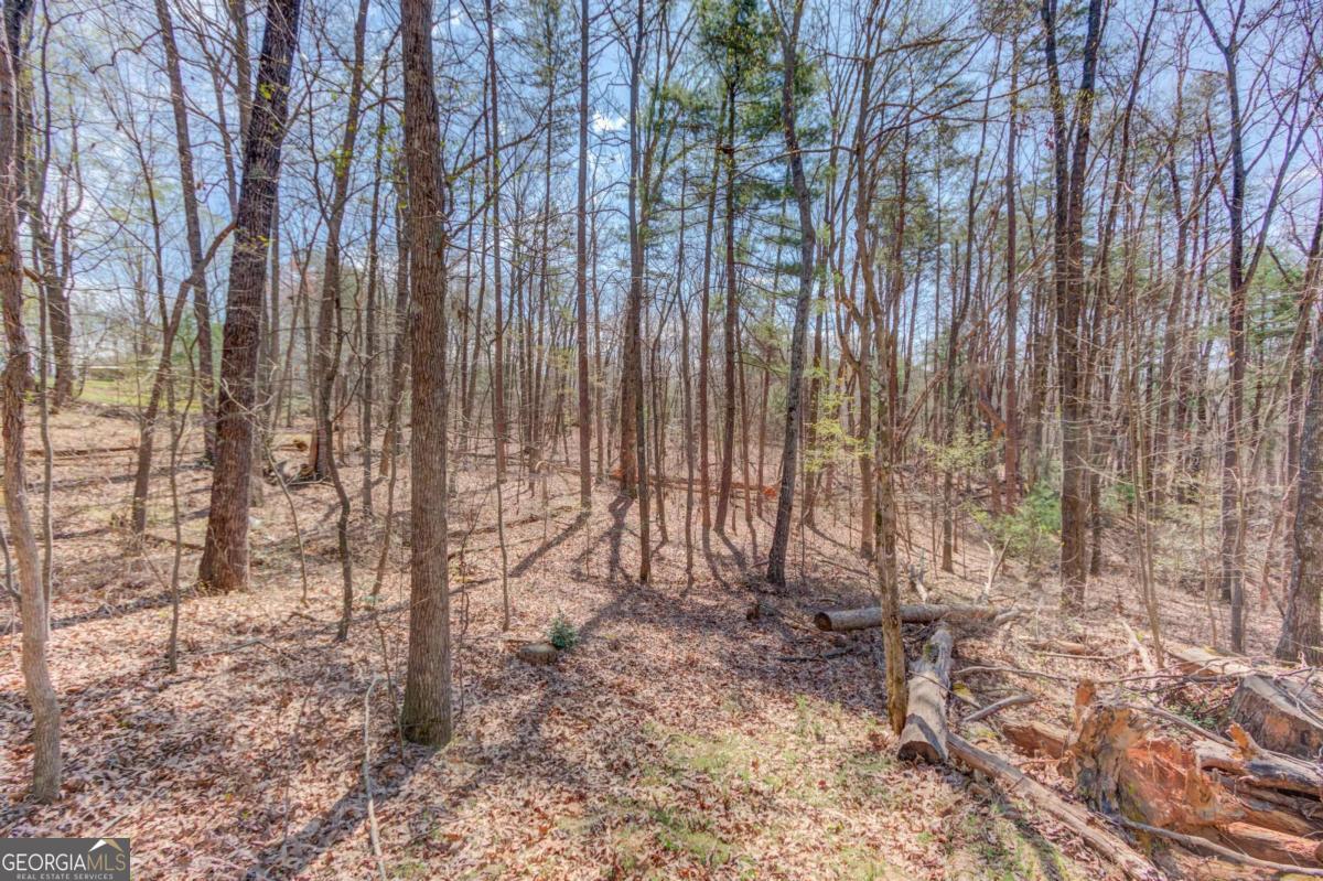 47 Tobacco Pouch Creek Road Dahlonega GA 30533