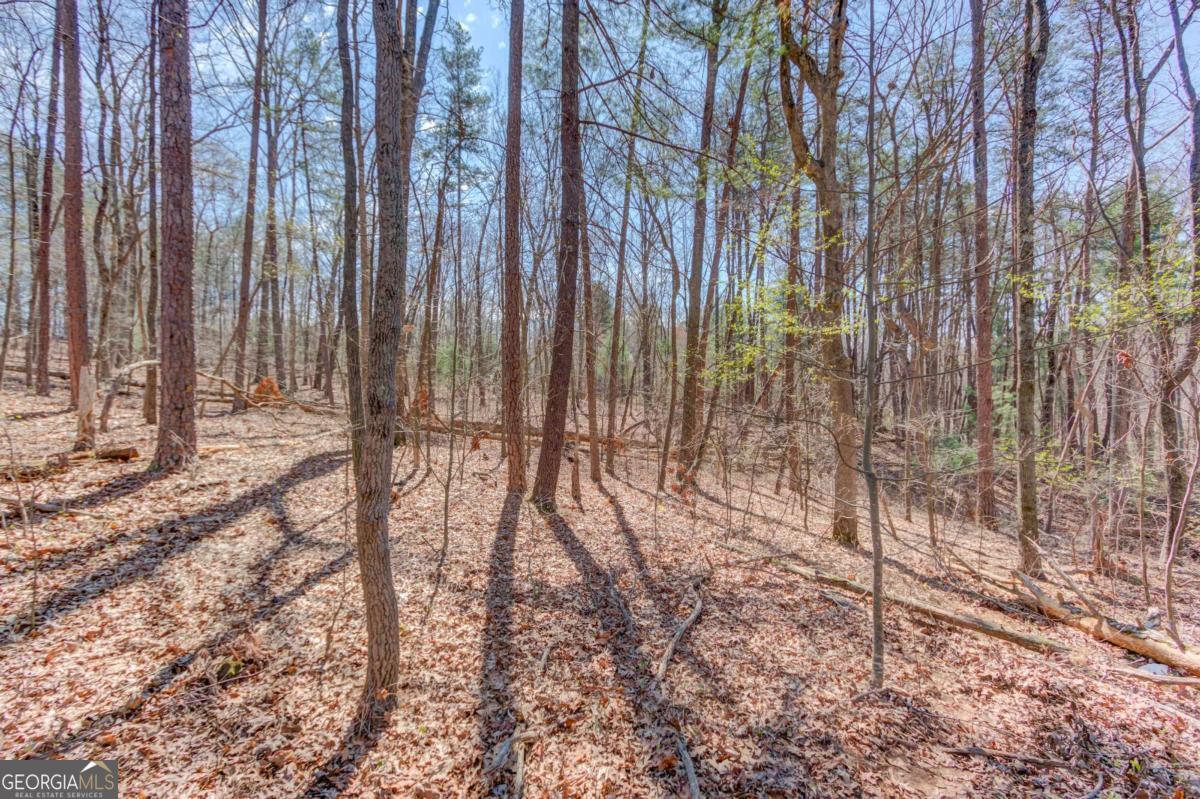47 Tobacco Pouch Creek Road Dahlonega GA 30533