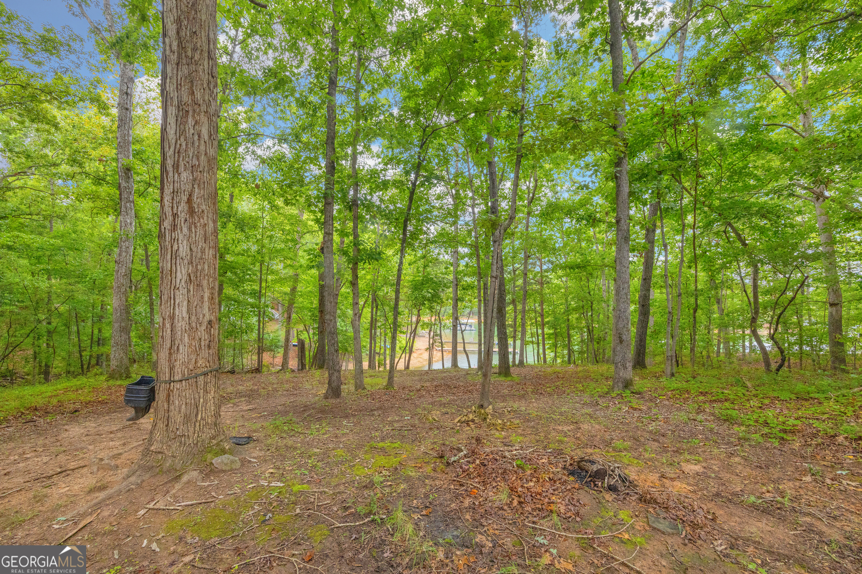 26 Chief Lane Hartwell GA 30643