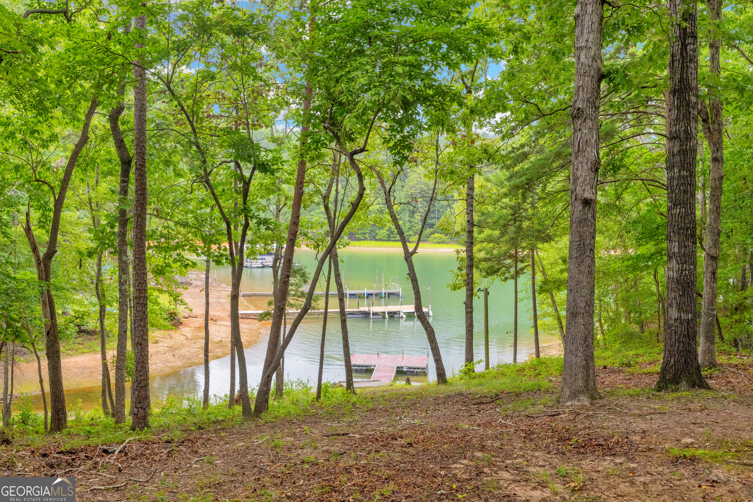 26 Chief Lane Hartwell GA 30643