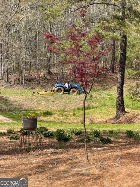 1208 Elberton Road Lexington GA 30648