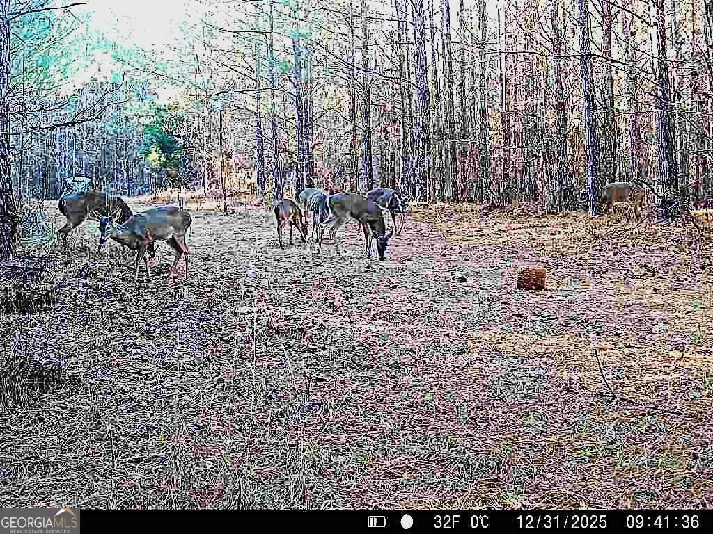 1208 Elberton Road Lexington GA 30648