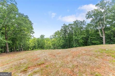1055 S Laceola Road Cleveland GA 30528
