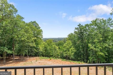 1055 S Laceola Road Cleveland GA 30528