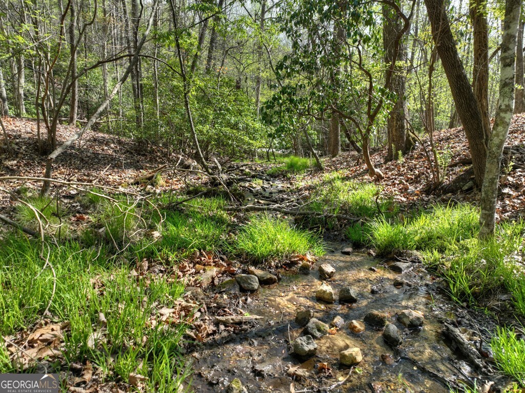 185 Locust Lane Morganton GA 30560